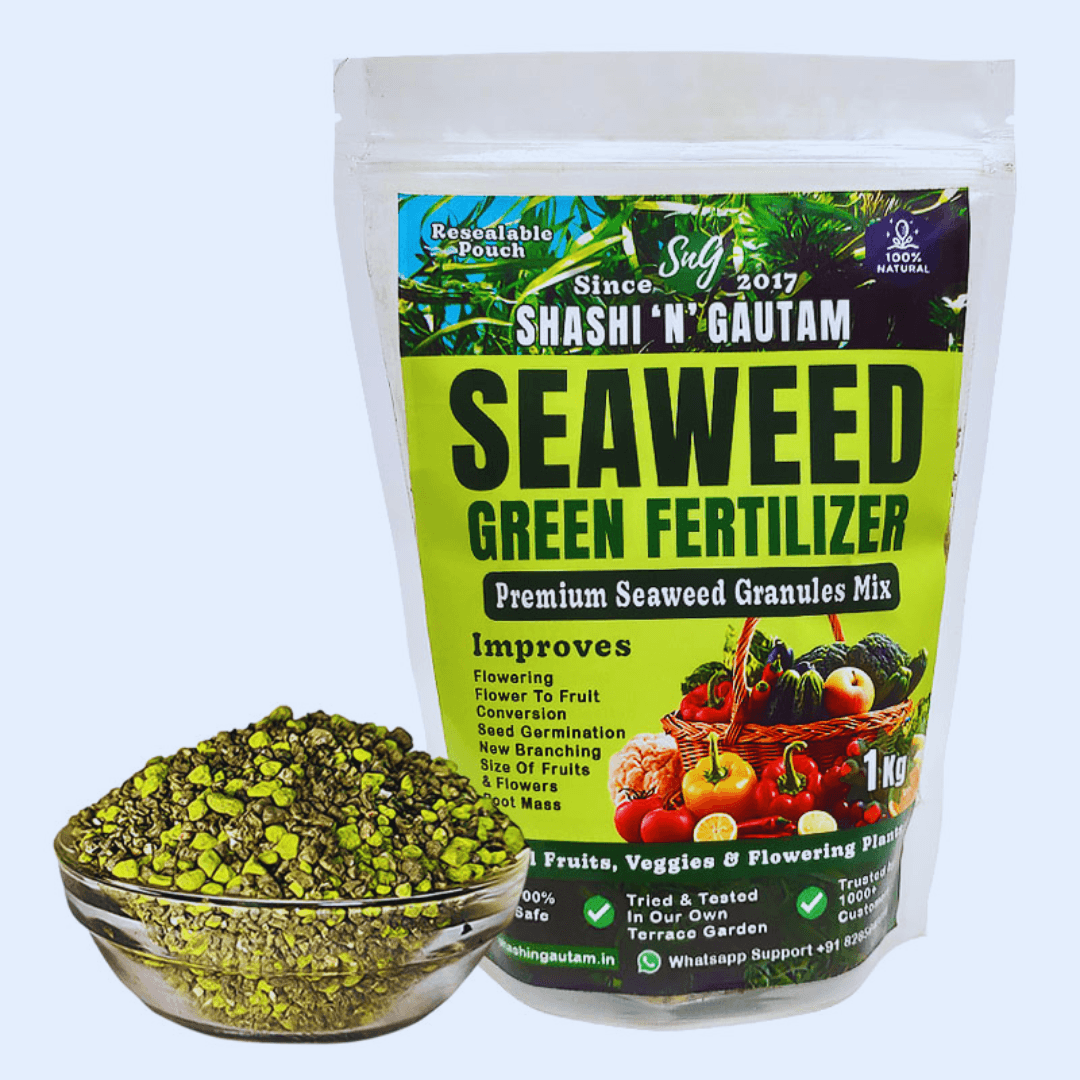 Seaweed Fertilizer