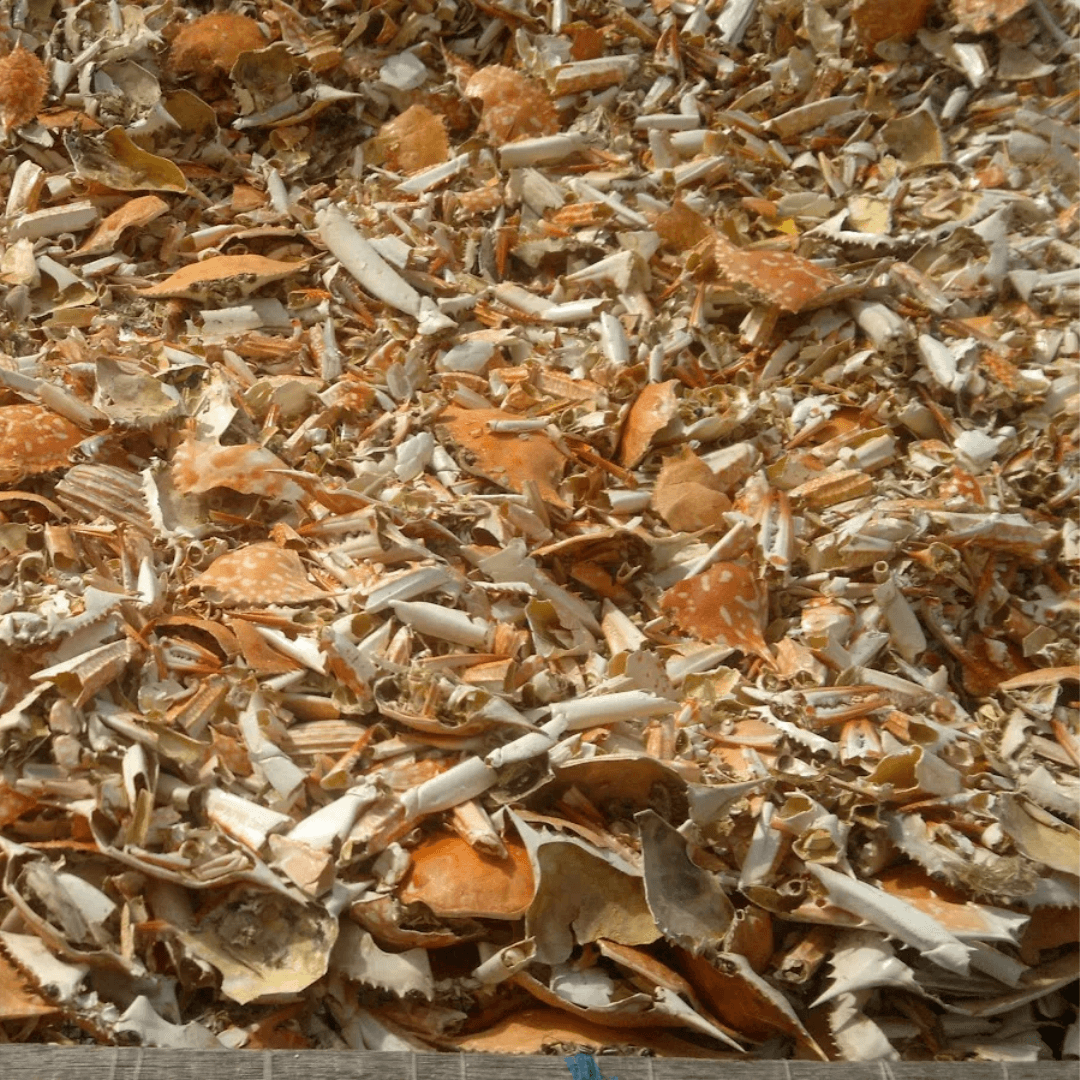 Crab Shell Meal