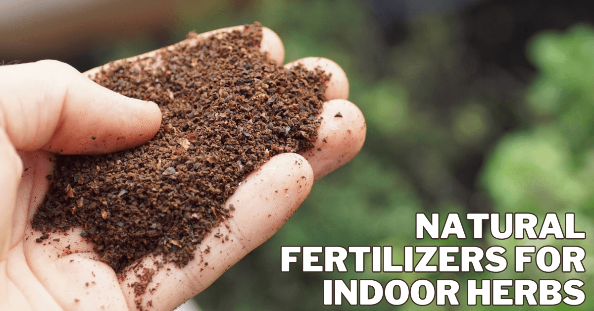 Natural Fertilizers For Indoor Herbs