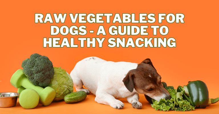 Raw Vegetables For Dogs – A Guide To Healthy Snacking