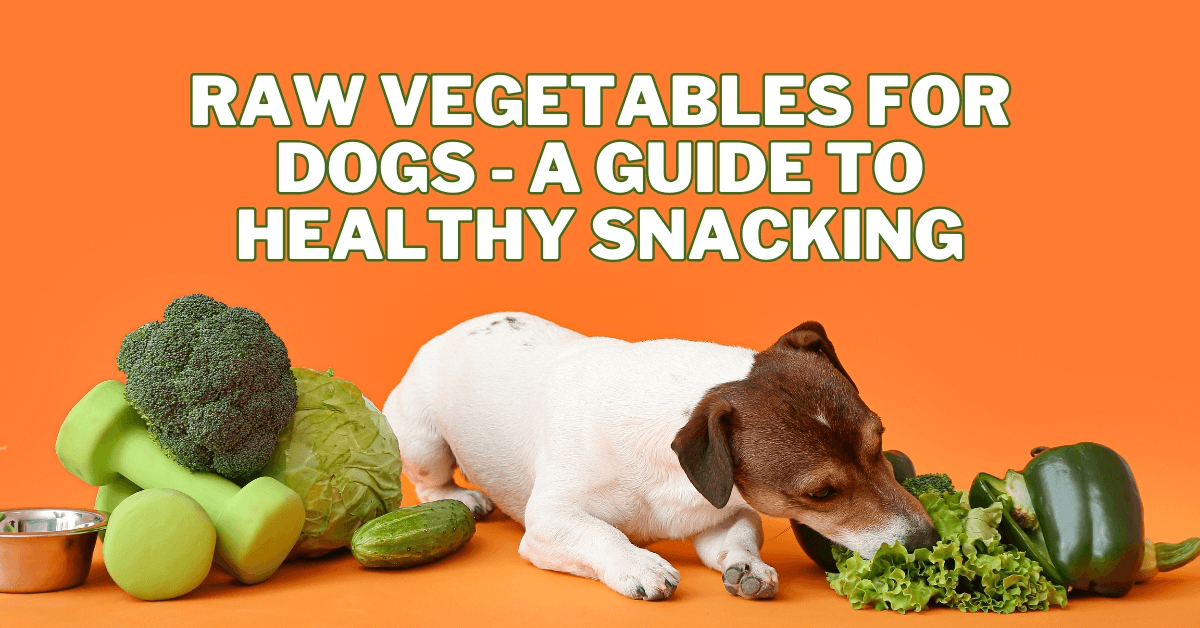 Raw Vegetables For Dogs - A Guide To Healthy Snacking