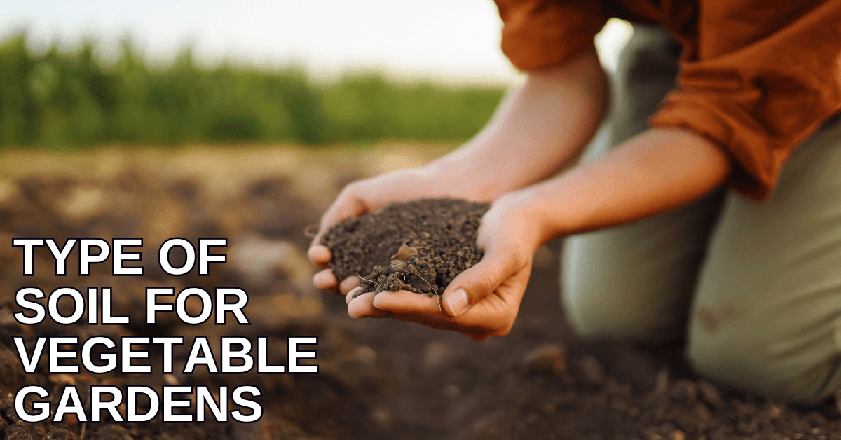 Type Of Soil For Vegetable Gardens