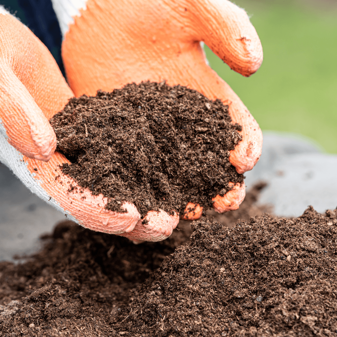 Improving Soil Quality For Vegetable Gardens