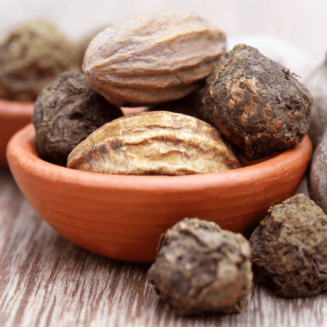 Harvesting Of Triphala Fruits