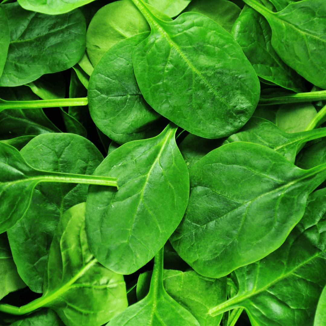 Spinach