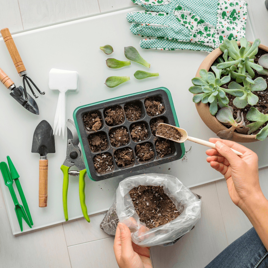 Soil To Grow Triphala In Containers