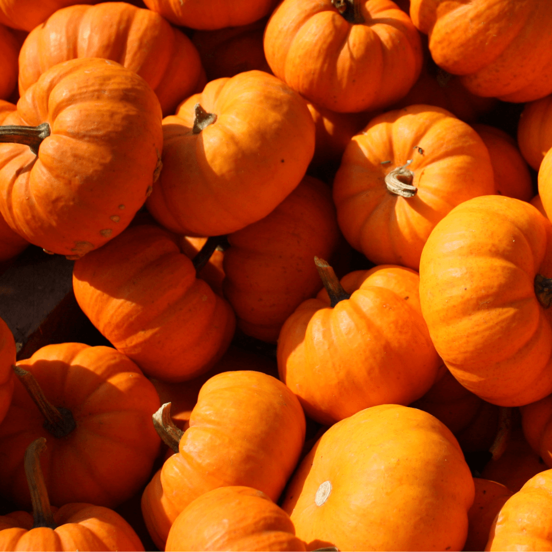 Pumpkin