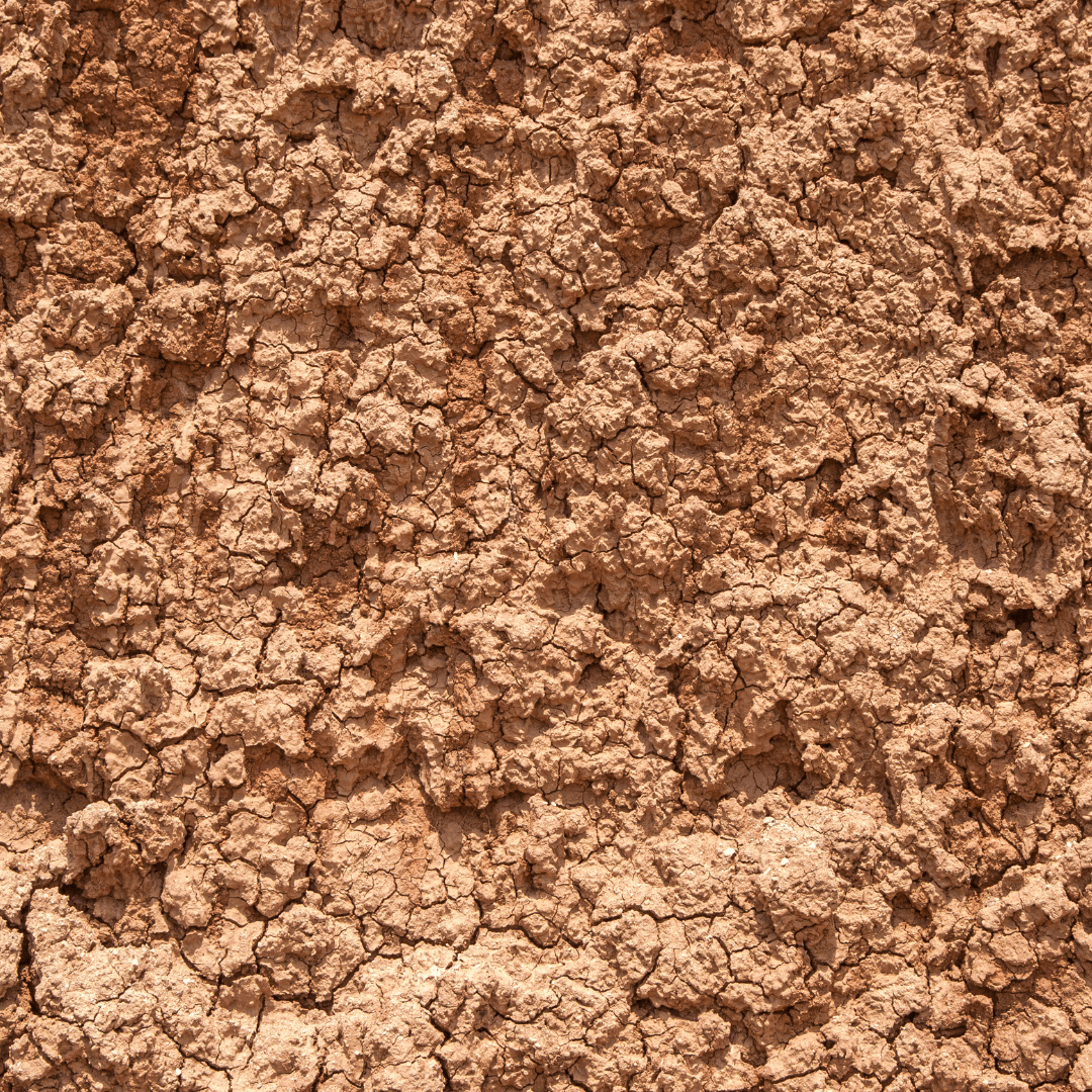 Sandy Clay Loam