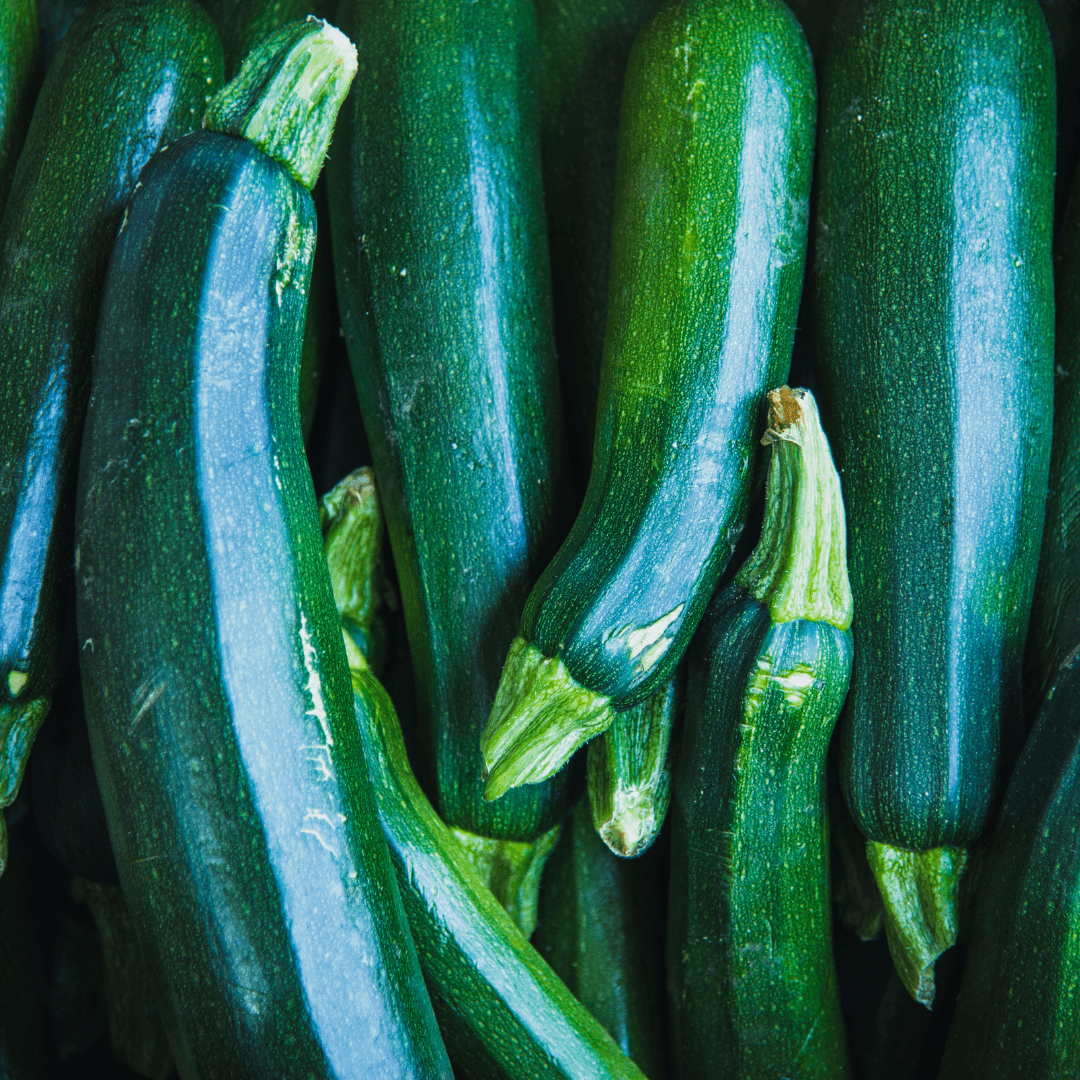 Zucchini