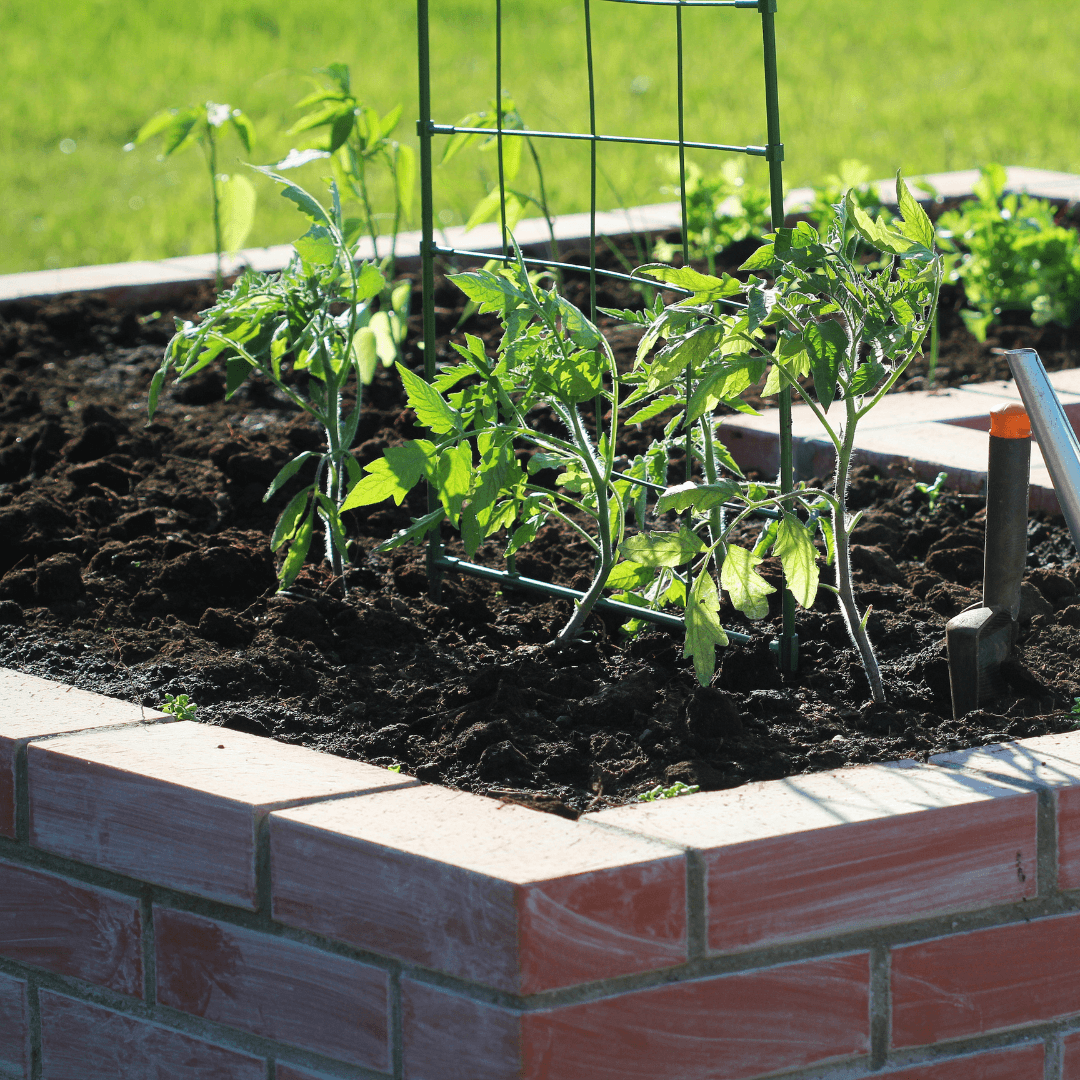 Create Raised Beds