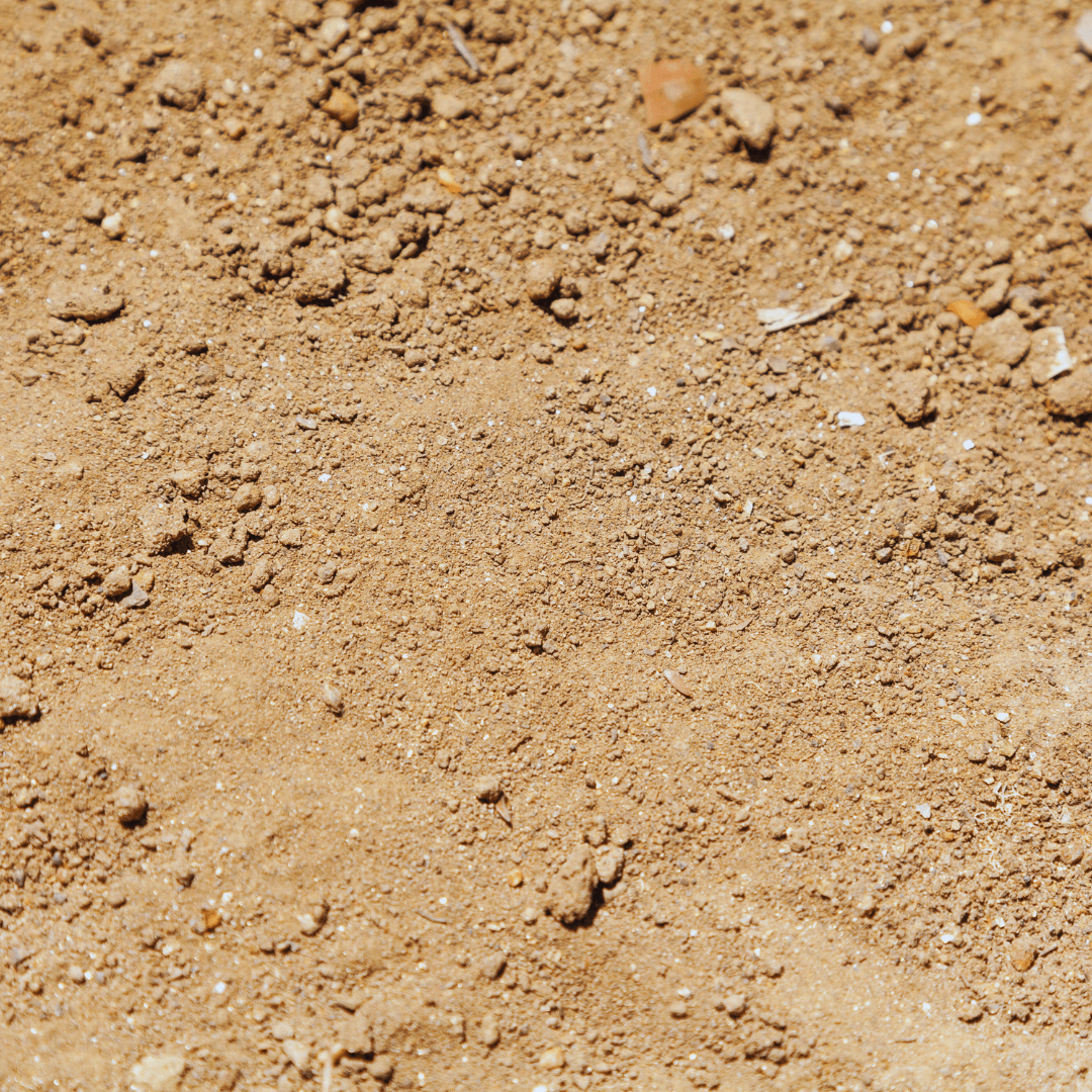 Sandy Soil