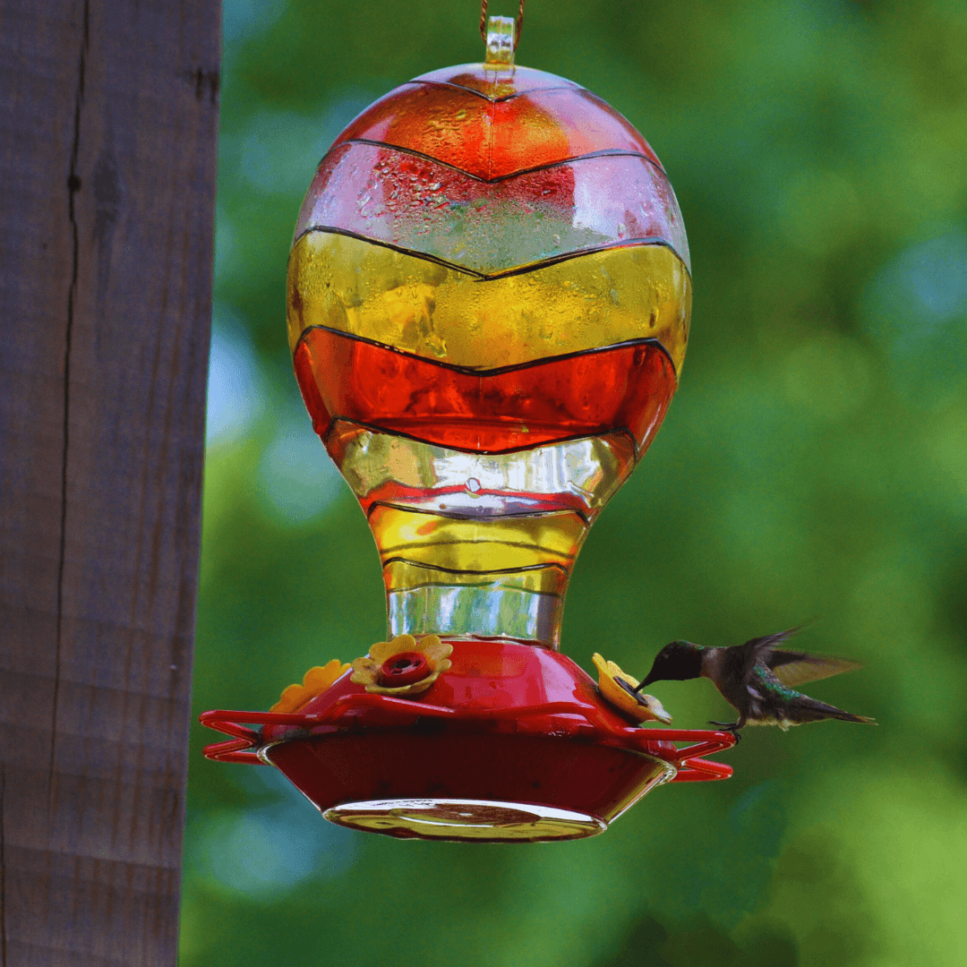 Unique Feeding Behaviour