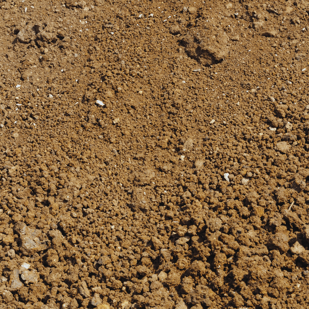 Silt Soil