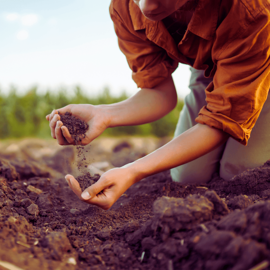 Consider Soil Texture