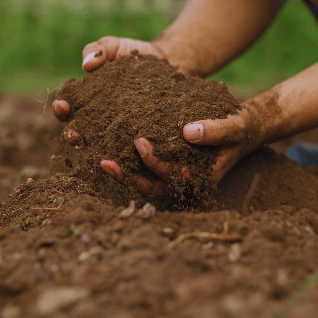 Chalky Soil