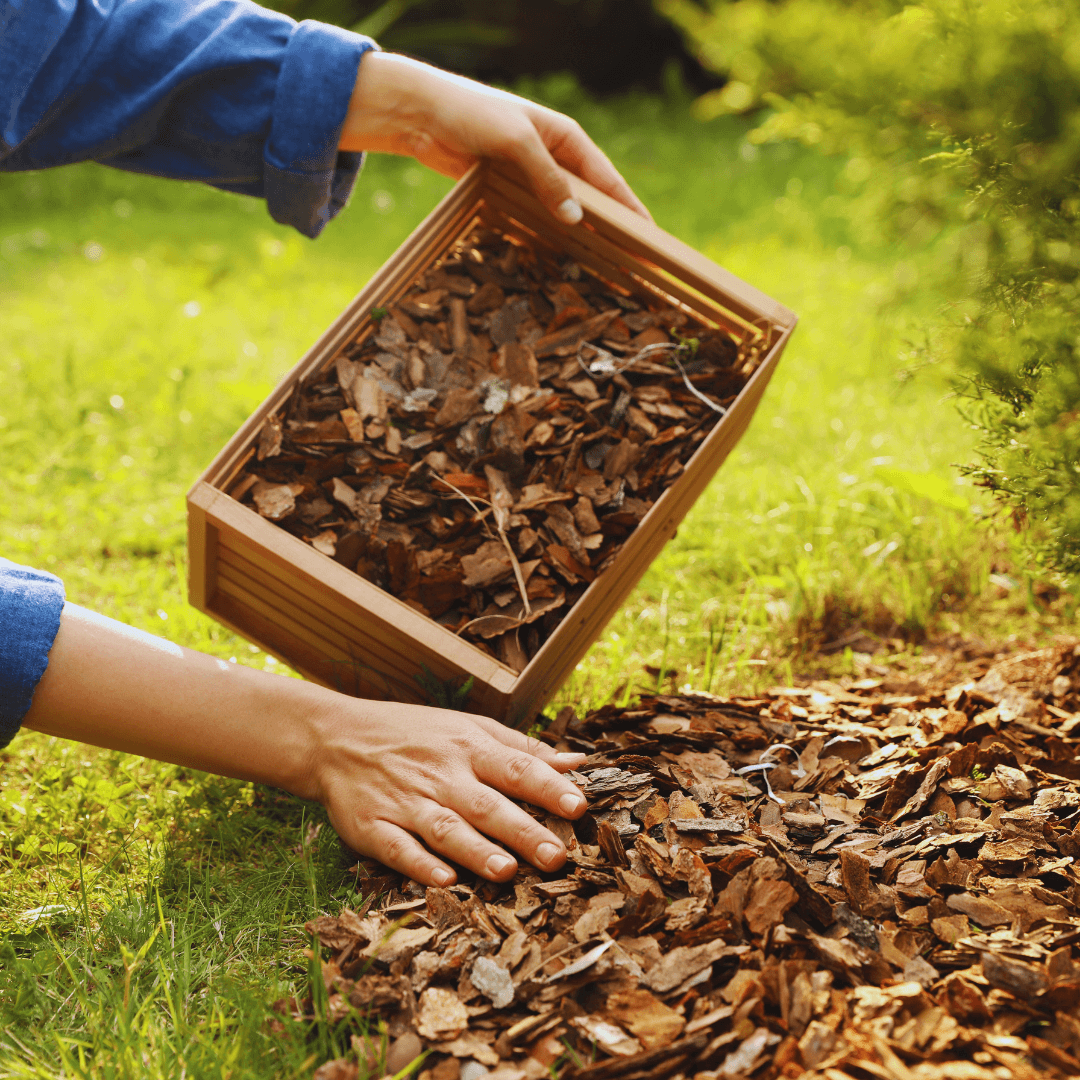 Mulch