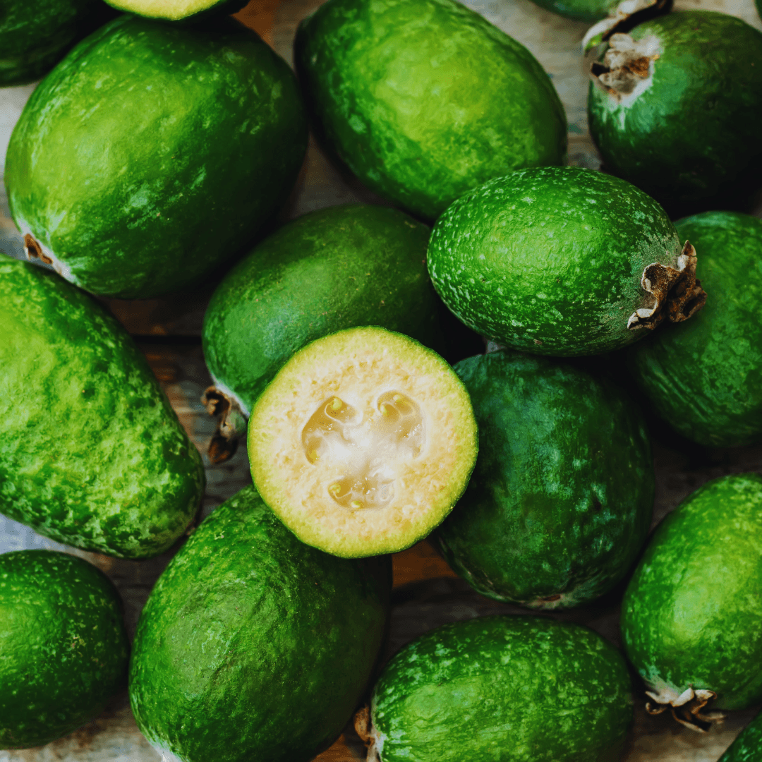 Apollo Feijoa