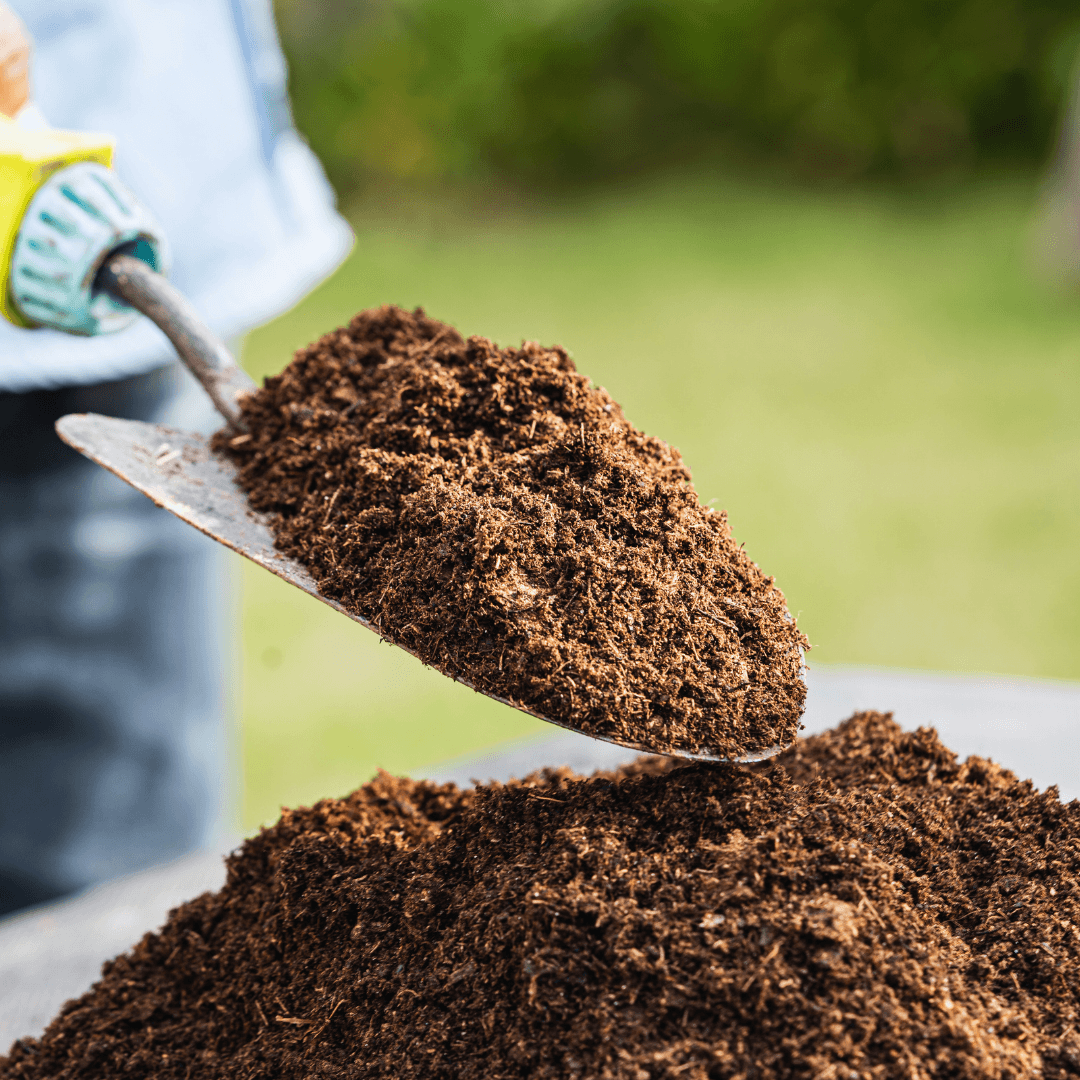 Peat-Based Soil