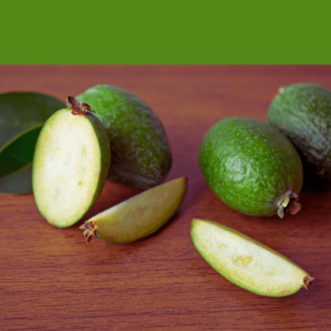 Nazemetz Feijoa