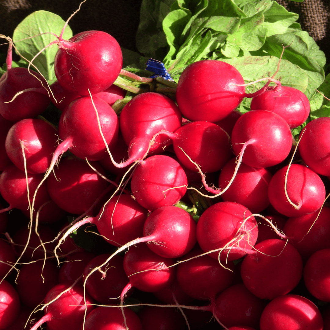 Radishes