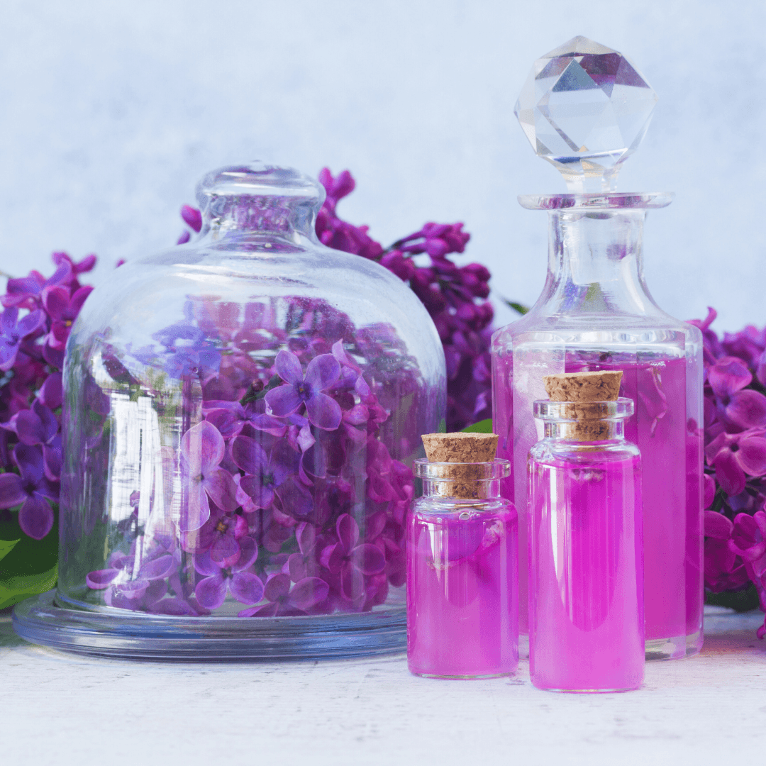 Floral Essences: What They Are And How They Work