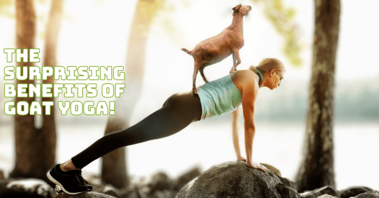 The Surprising Benefits Of Goat Yoga A Fun And Furry Fitness Trend