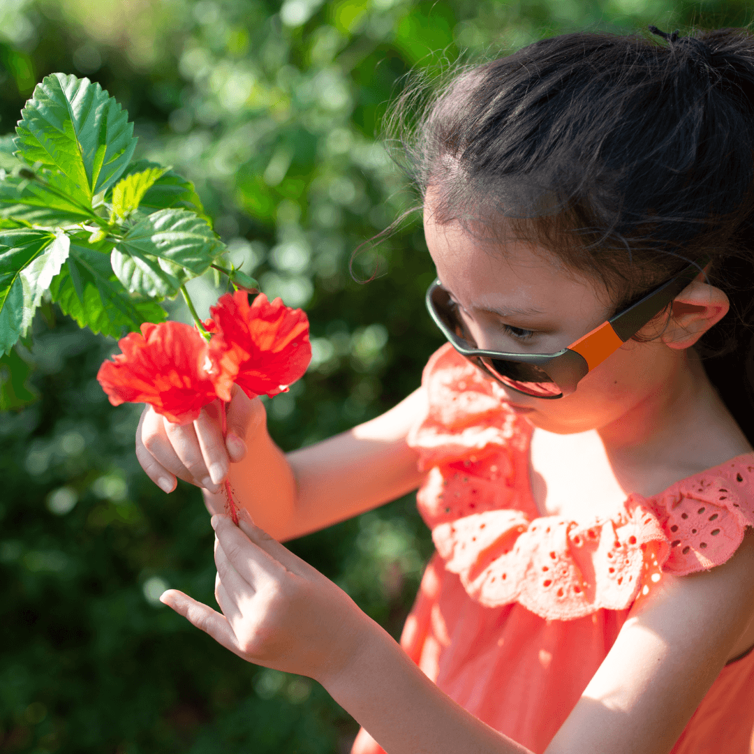 Hibiscus Meaning