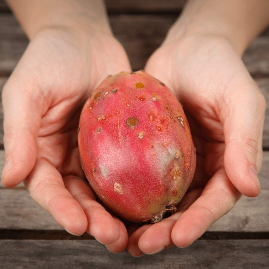 What Does The Prickly Pear Taste Like