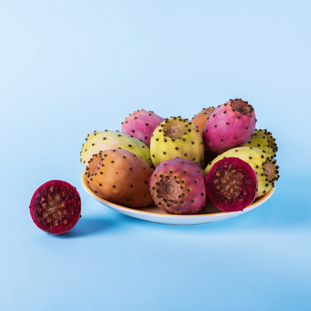 Harvesting Prickly Pears