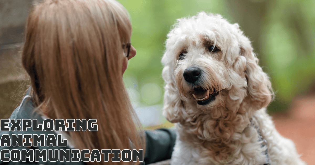 Exploring Animal Communication: What Your Pet Is Trying To Tell You