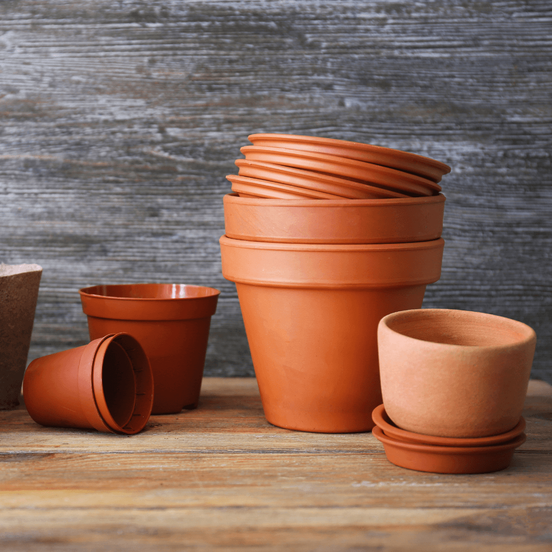 Choose The Right Pot To Grow Wildflowers