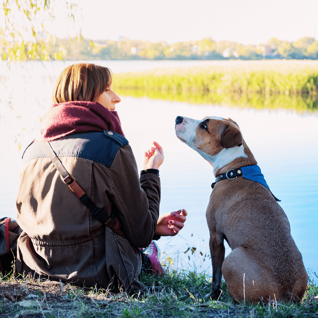 The Science Behind Animal Communication