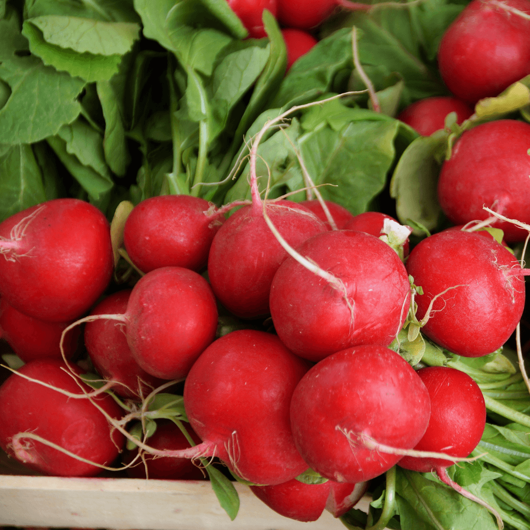 Radishes