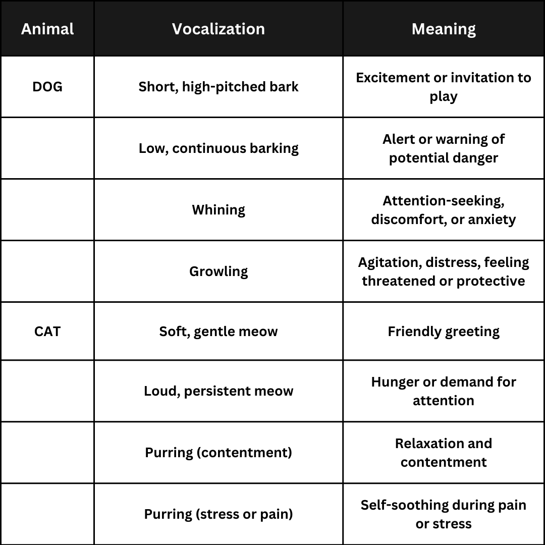 Vocalisations: What Do Those Sounds Mean?