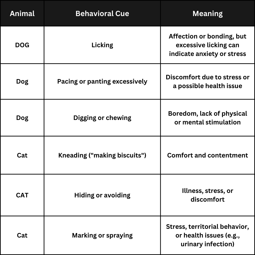 Behavioural Cues: Actions Speak Louder Than Words