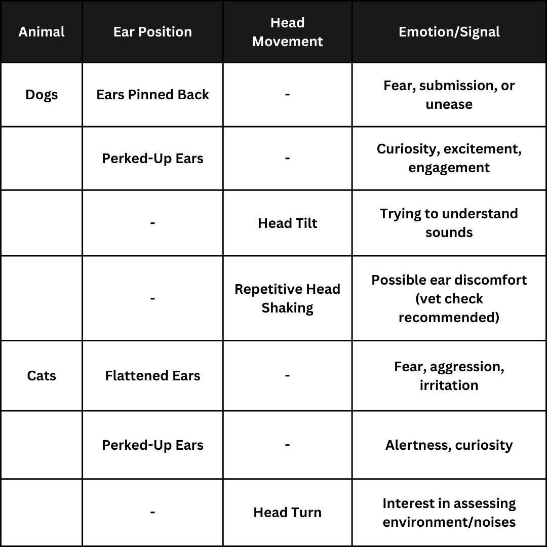 Ears And Head Movements: Understanding Your Pet’s Signals