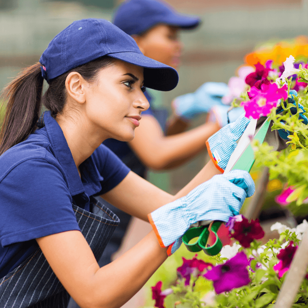 Prune And Trim Your Wildflowers As Needed