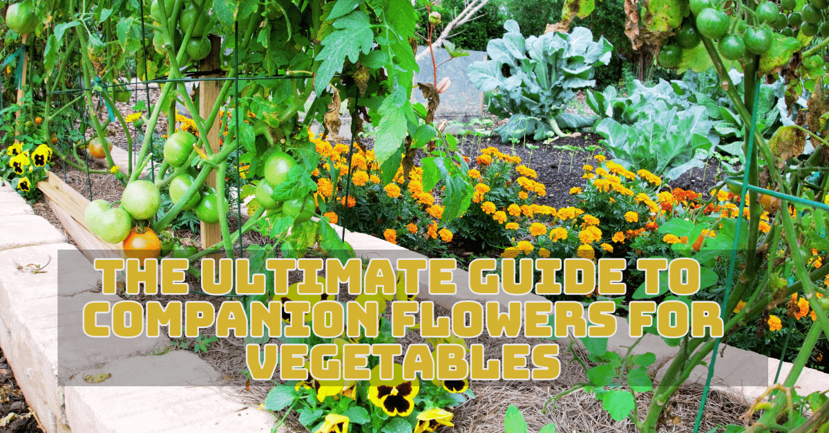 The Ultimate Guide To Companion Flowers For Vegetables