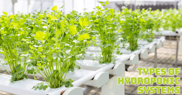 Types Of Hydroponic Systems