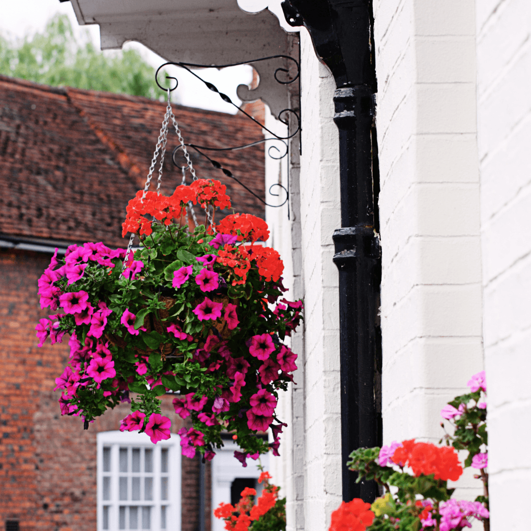 Hanging Baskets And Containers