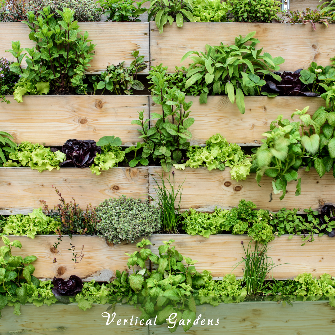 Vertical Gardens