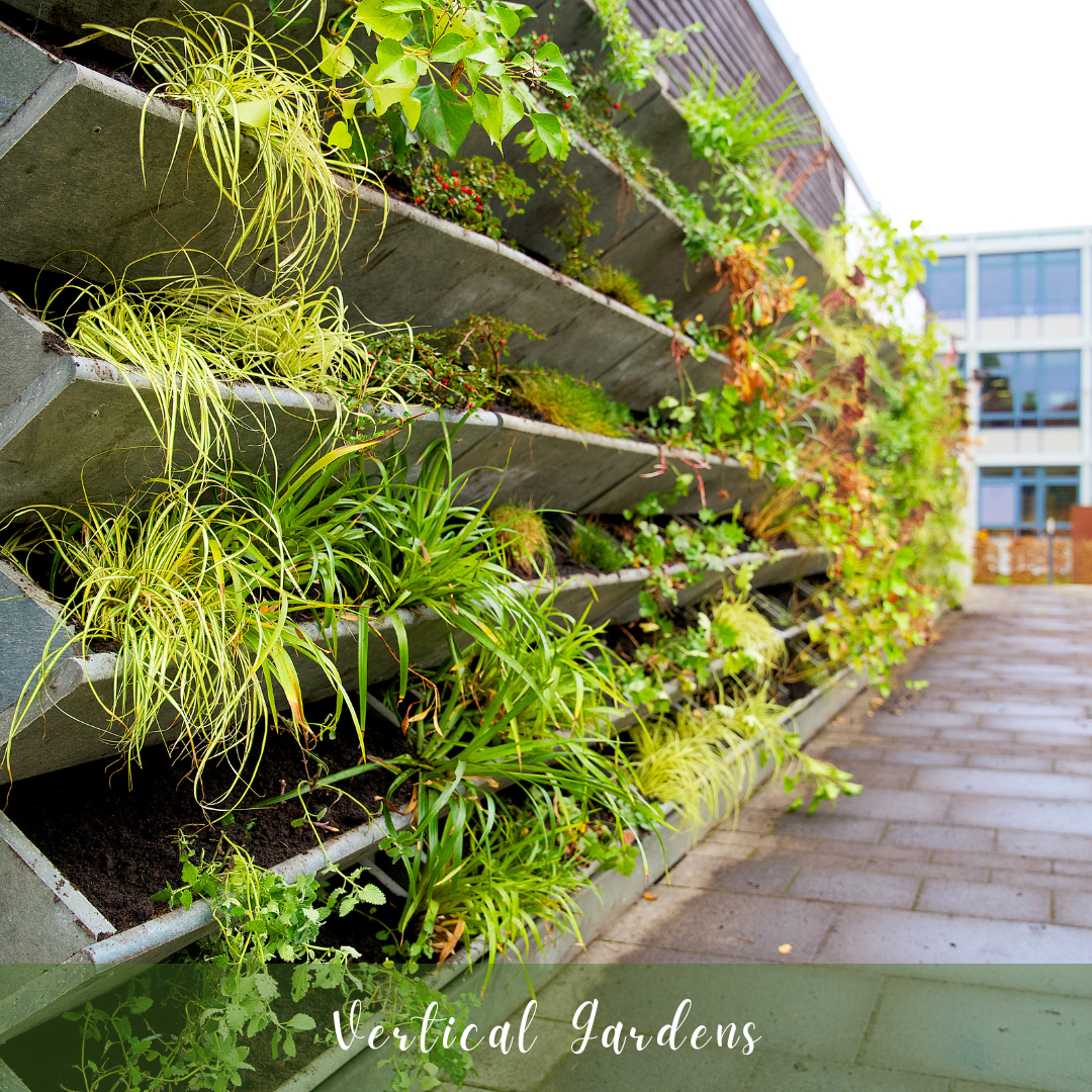 Vertical Gardens