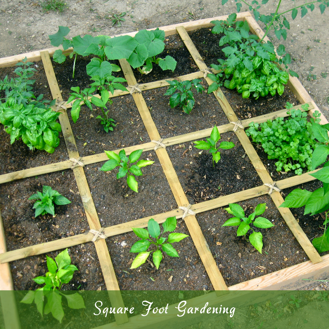 Square Foot Gardening
