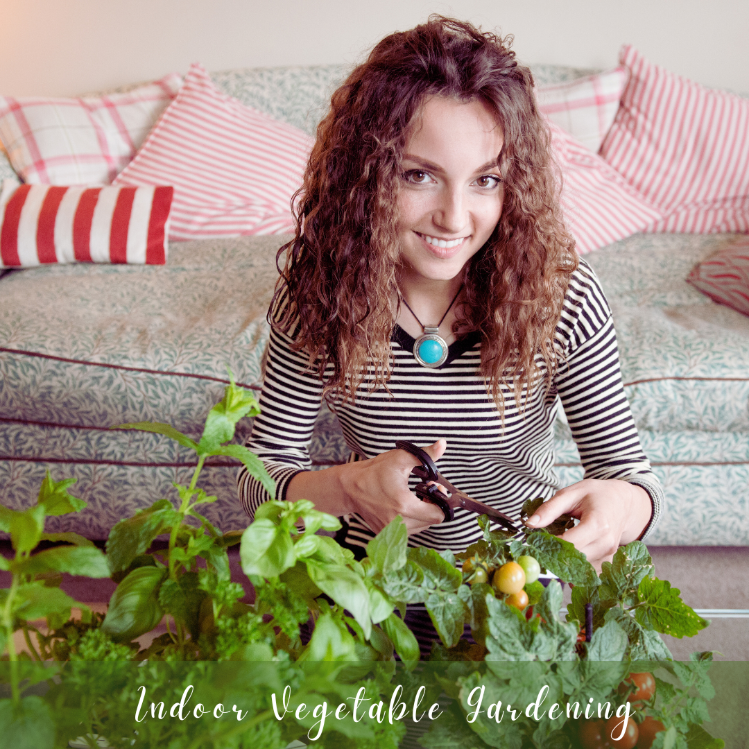 Indoor Vegetable Gardening