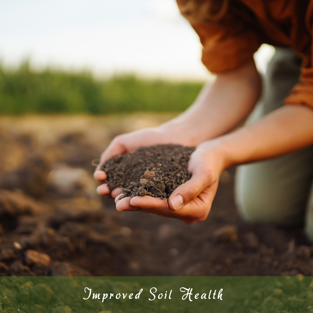 Improved Soil Health