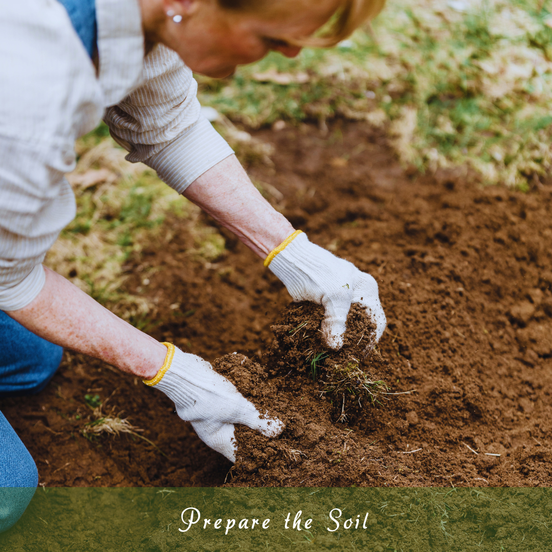 Prepare The Soil