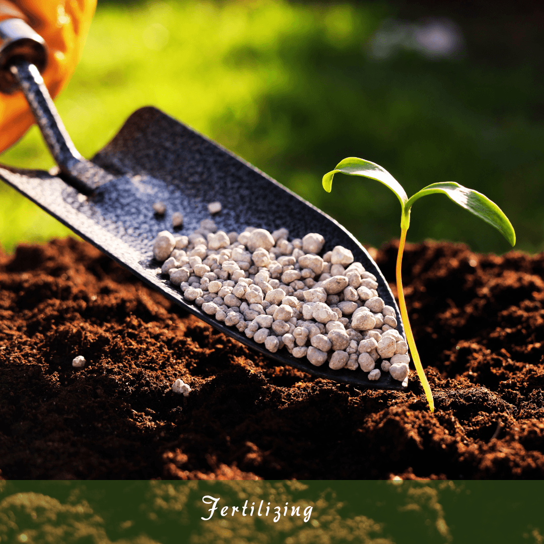 Fertilizing