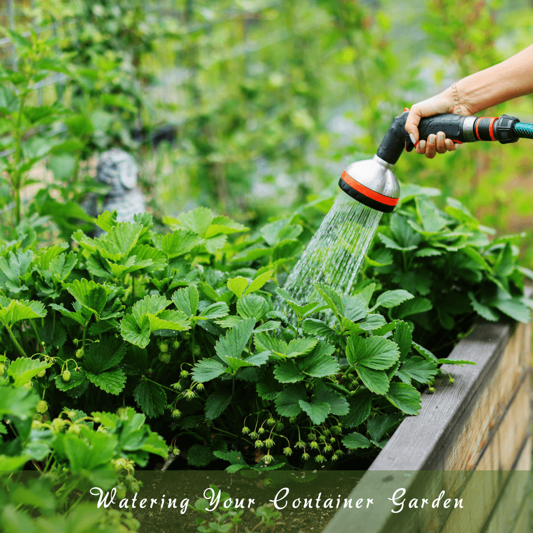 Watering Your Container Garden