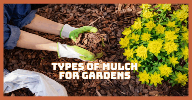 Best Types Of Mulch For Gardens