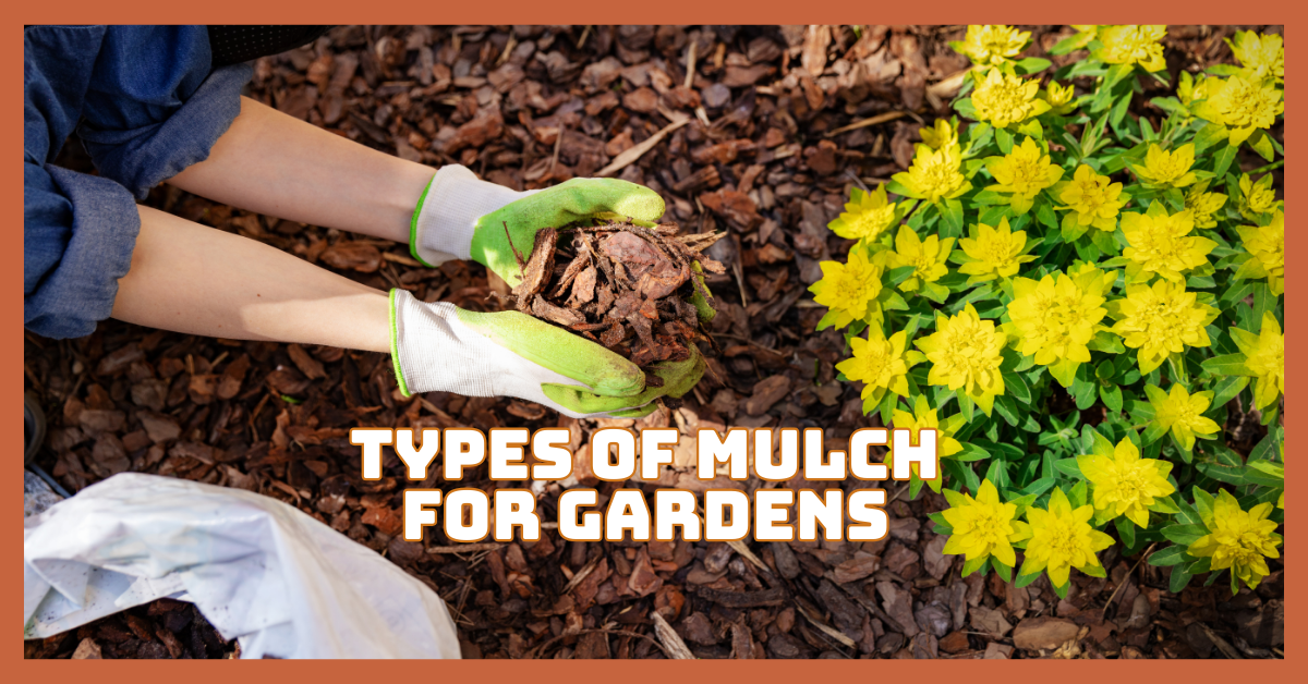 Best Types Of Mulch For Gardens